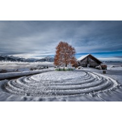 Circles