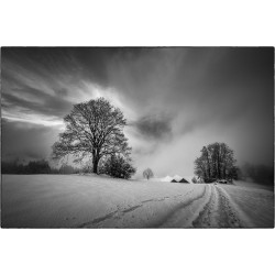 Niesen im Nebel