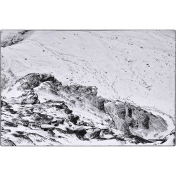 Bärgenuschnee