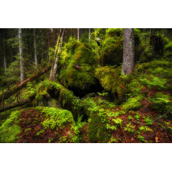 Entrance of the Dwarves