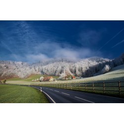 Banished Fog