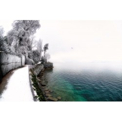Rime & Water