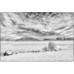 Fog & Clouds