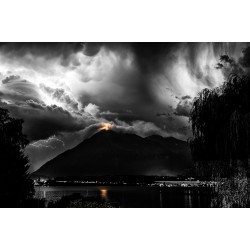 Niesenlicht